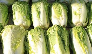 除甲醛一天 除甲醛一天